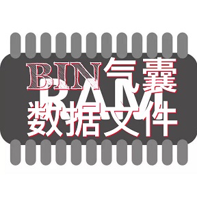 .BIN