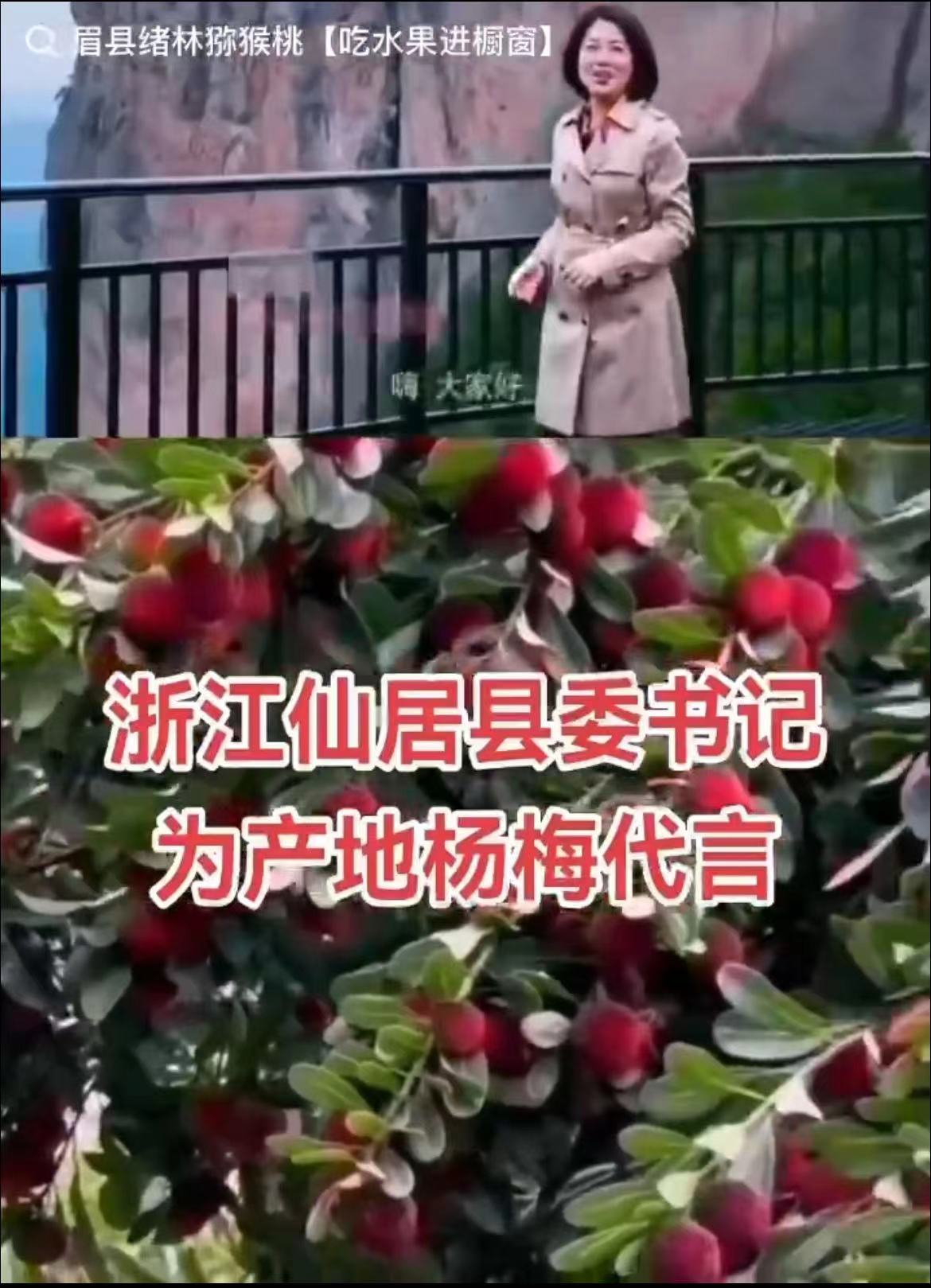 台州仙居东魁杨梅